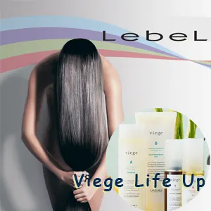 Программа Viege Lebel